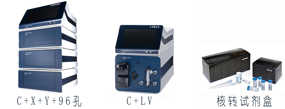 lonza 4d-nucleofector D(zhun)x