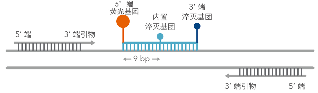 IDT PrimeTime雙淬滅探針代理商北京澤平