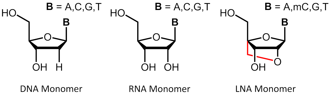 IDT Affinity Plus qPCR探針LNA鎖核酸探針一級代理商北京澤平